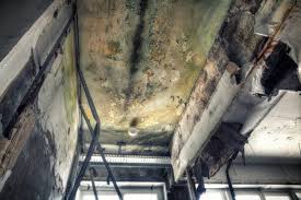 Best Asbestos and Lead Testing During Mold Inspection in USA